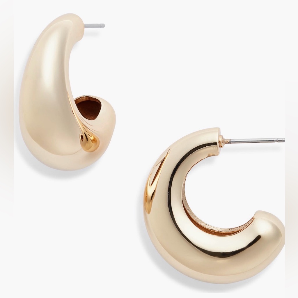 Jenny Bird Nwt Full Volume Hoop Earrings